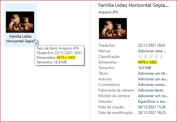 Exemplo de como verificar as informações de uma imagem pelo computador