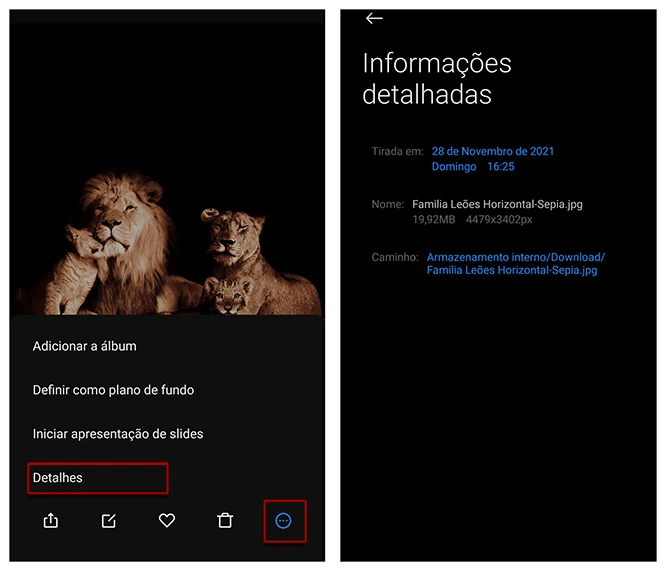 Exemplo de como verificar as informações de uma imagem pelo celular